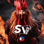 onbet live casino